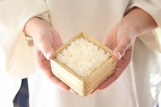 kirisai 桐のレンジでごはん鉢小