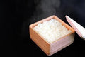 kirisai 桐のレンジでごはん鉢大