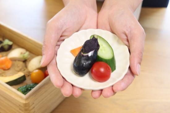kirisai 桐の冷蔵ぬか漬け鉢