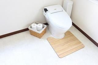 kirisai 桐のはっ水消臭トイレマット 60×55cm