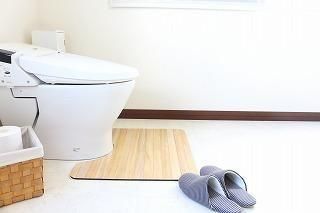 kirisai 桐のはっ水消臭トイレマット 60×55cm