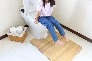 kirisai 桐のはっ水消臭トイレマット 60×80cm