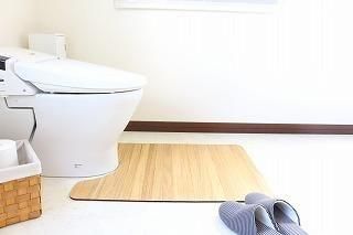 kirisai 桐のはっ水消臭トイレマット 60×80cm