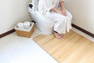 kirisai 桐のはっ水消臭トイレマット 80×105cm