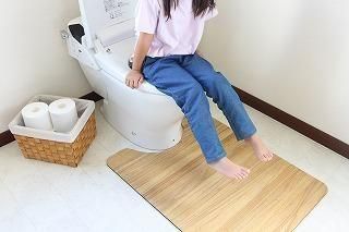 kirisai 桐のはっ水消臭トイレマット 80×105cm